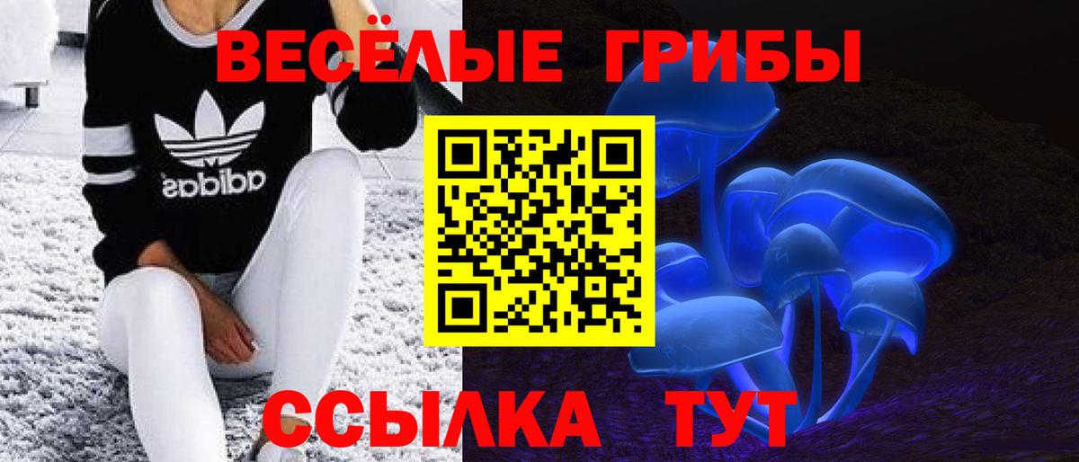 Псилоцибиновые грибы мицелий Мелеуз